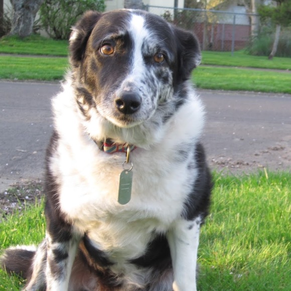 Meet your Posher, Samantha - Picture 1 of 1